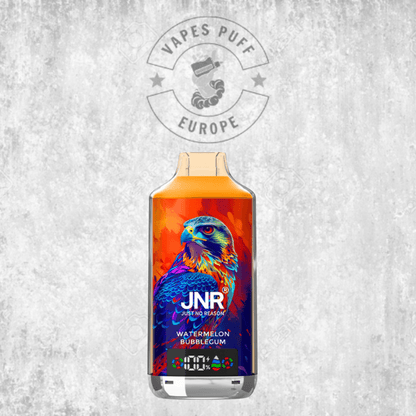Puff JNR Falcon X 18K Blueberry Kiwi Cigarette électronique jetable VapesPuffEurope